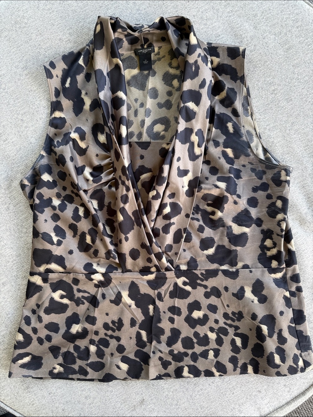 Ann Taylor Top